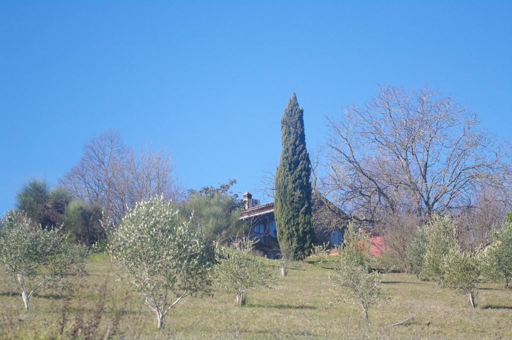 Vila La Casa Sopra Le Nuvole Medesano Exteriér fotografie